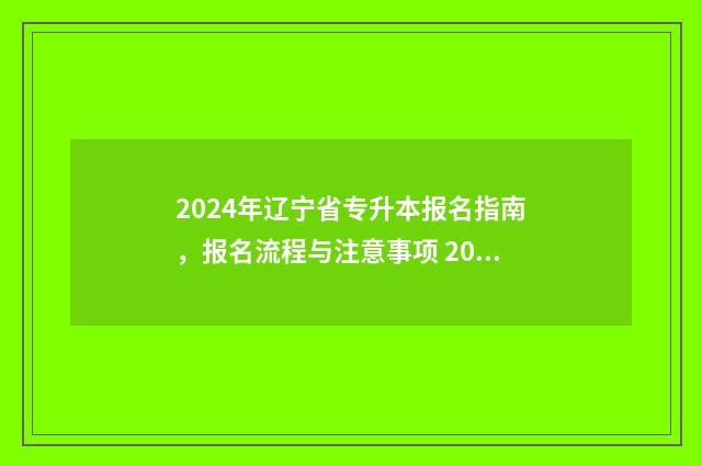 2024年辽宁省专升本报名指南，报名流程与注意事项 2024年辽宁省专科投档最低分