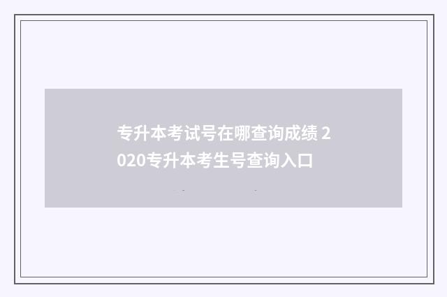 专升本考试号在哪查询成绩 2020专升本考生号查询入口