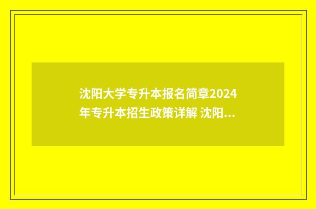 沈阳大学专升本报名简章2024年专升本招生政策详解 沈阳大学专升本在哪个校区