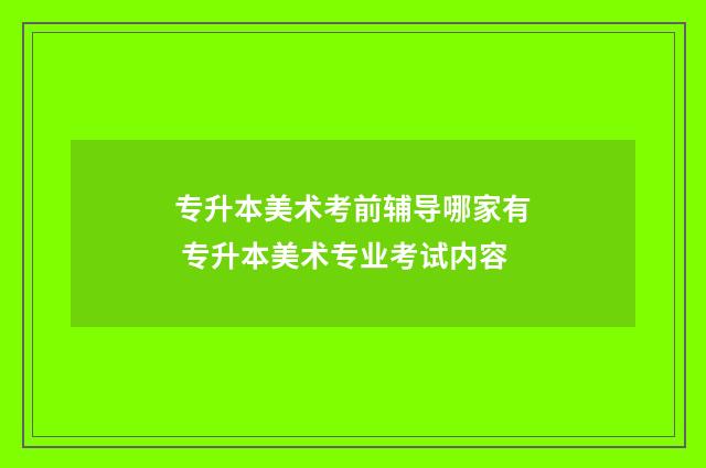 专升本美术考前辅导哪家有 专升本美术专业考试内容