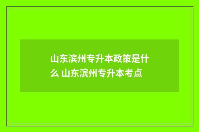 山东滨州专升本政策是什么 山东滨州专升本考点