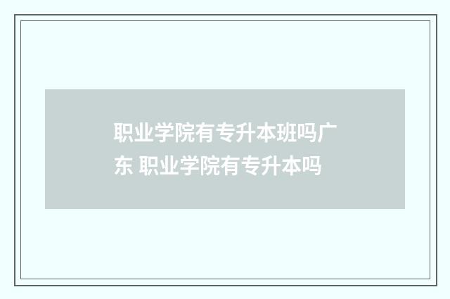 职业学院有专升本班吗广东 职业学院有专升本吗