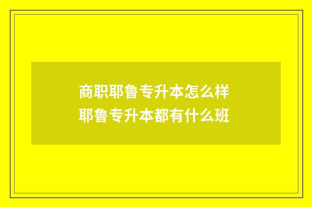 商职耶鲁专升本怎么样 耶鲁专升本都有什么班