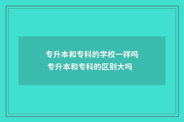 专升本和专科的学校一样吗 专升本和专科的区别大吗