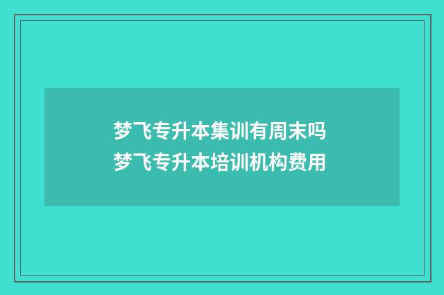 梦飞专升本集训有周末吗 梦飞专升本培训机构费用