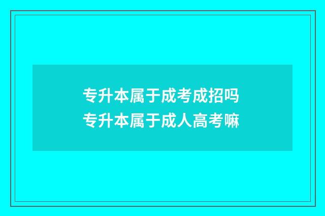 专升本属于成考成招吗 专升本属于成人高考嘛