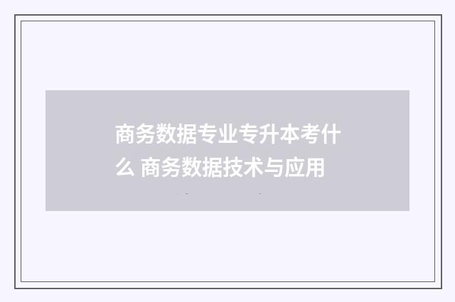 商务数据专业专升本考什么 商务数据技术与应用