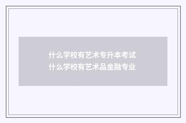 什么学校有艺术专升本考试 什么学校有艺术品金融专业