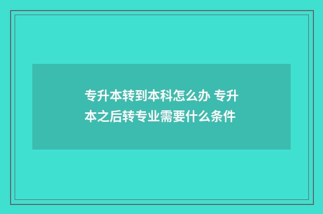 专升本转到本科怎么办 专升本之后转专业需要什么条件