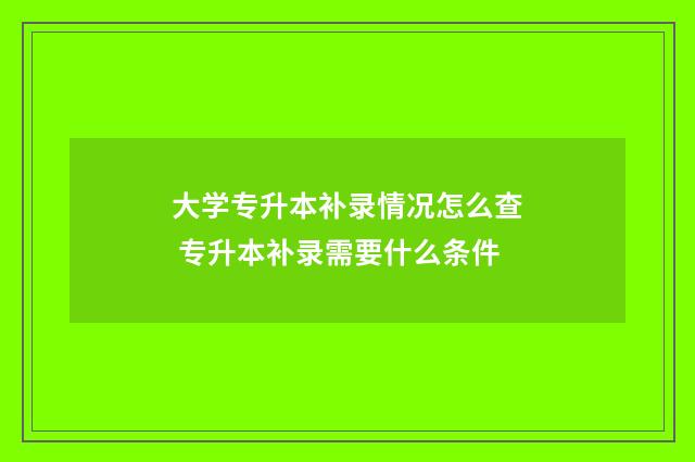大学专升本补录情况怎么查 专升本补录需要什么条件