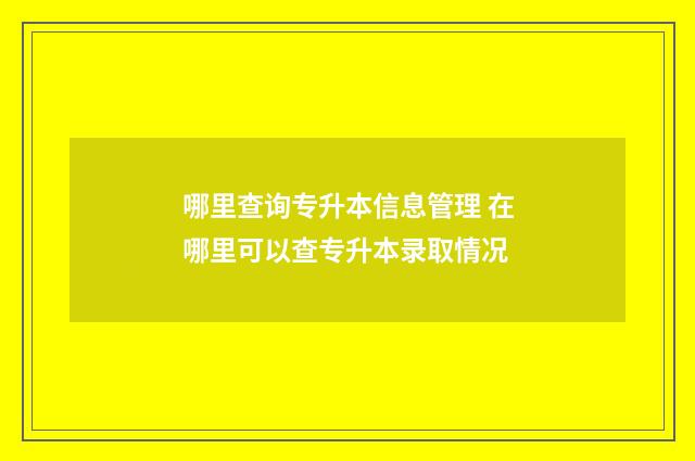 哪里查询专升本信息管理 在哪里可以查专升本录取情况