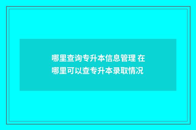 哪里查询专升本信息管理 在哪里可以查专升本录取情况