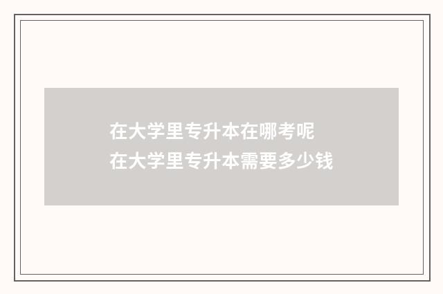 在大学里专升本在哪考呢 在大学里专升本需要多少钱