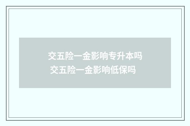 交五险一金影响专升本吗 交五险一金影响低保吗