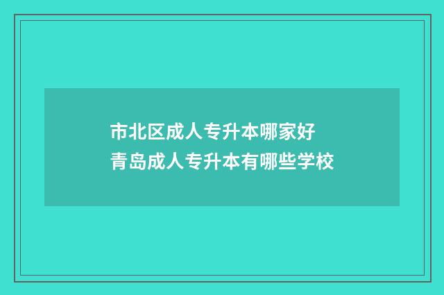 市北区成人专升本哪家好 青岛成人专升本有哪些学校