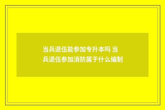 当兵退伍能参加专升本吗 当兵退伍参加消防属于什么编制