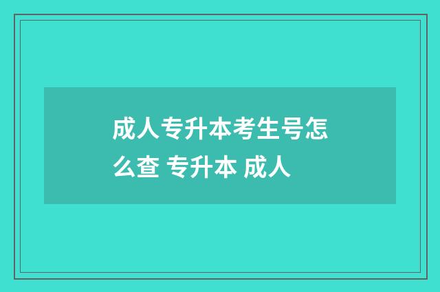 成人专升本考生号怎么查 专升本 成人