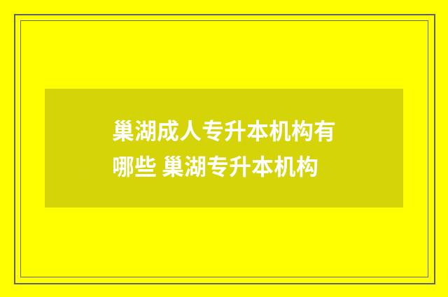 巢湖成人专升本机构有哪些 巢湖专升本机构