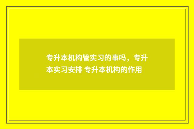 专升本机构管实习的事吗，专升本实习安排 专升本机构的作用
