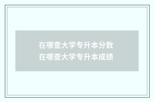 在哪查大学专升本分数 在哪查大学专升本成绩