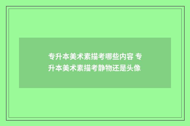 专升本美术素描考哪些内容 专升本美术素描考静物还是头像