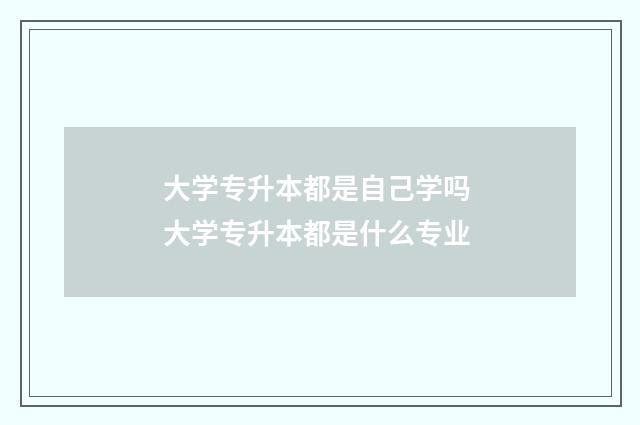 大学专升本都是自己学吗 大学专升本都是什么专业