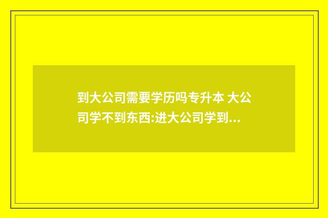 到大公司需要学历吗专升本 大公司学不到东西:进大公司学到的东西多还是小公司
