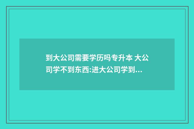 到大公司需要学历吗专升本 大公司学不到东西:进大公司学到的东西多还是小公司