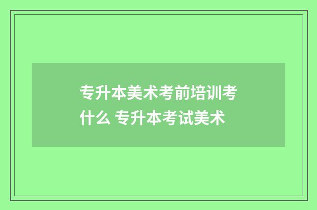 专升本美术考前培训考什么 专升本考试美术