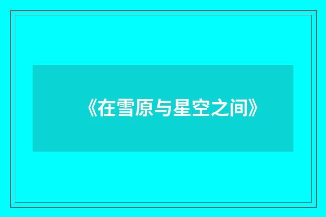 《在雪原与星空之间》