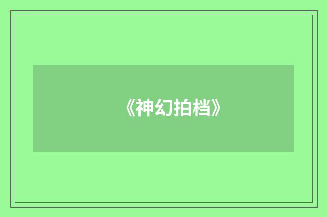 《神幻拍档》