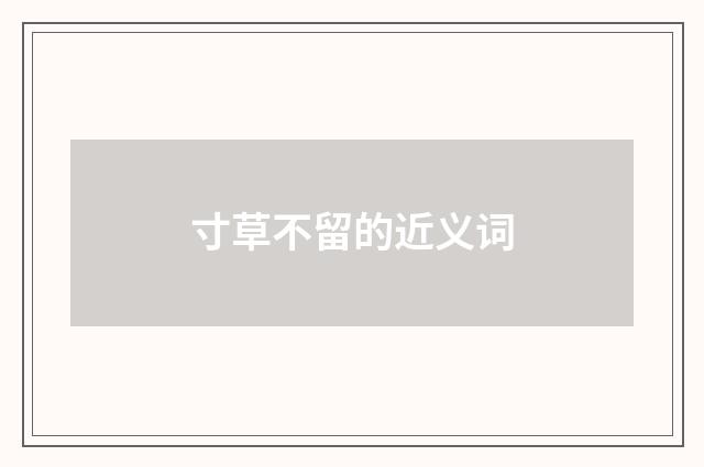 寸草不留的近义词