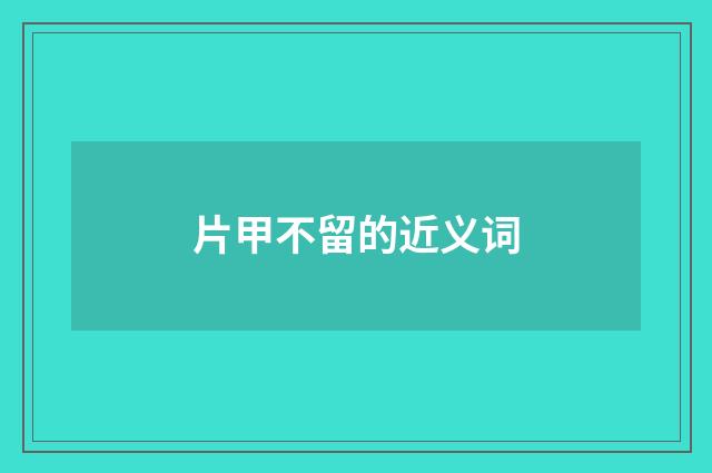 片甲不留的近义词