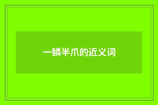 一鳞半爪的近义词