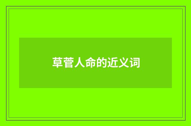 草菅人命的近义词