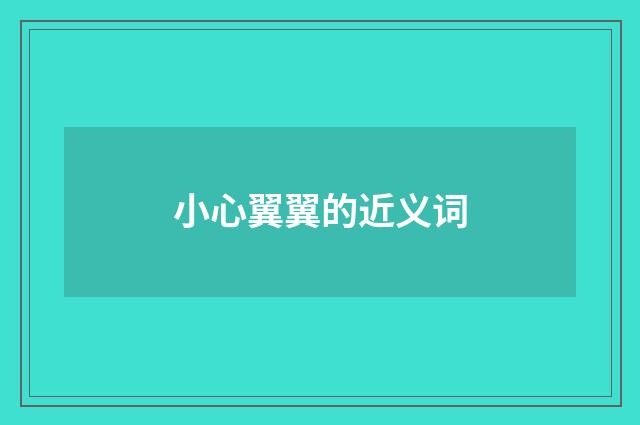 小心翼翼的近义词