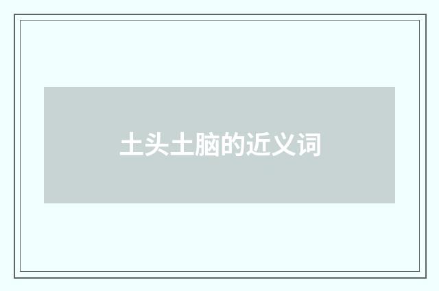 土头土脑的近义词