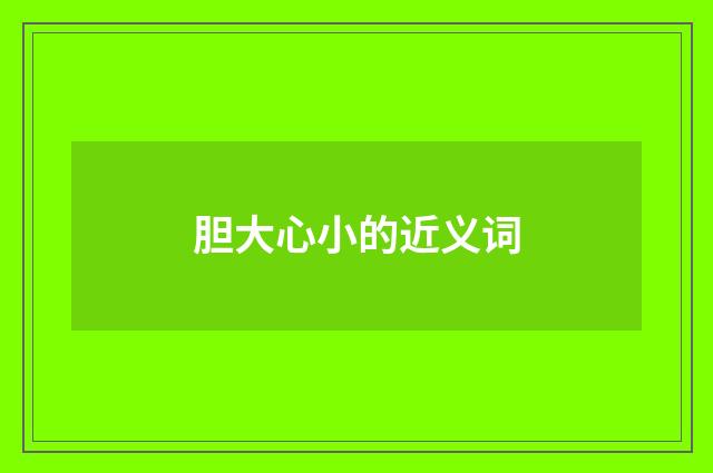 胆大心小的近义词