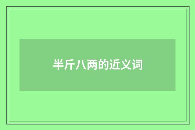 半斤八两的近义词