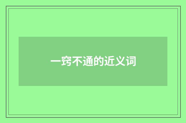 一窍不通的近义词