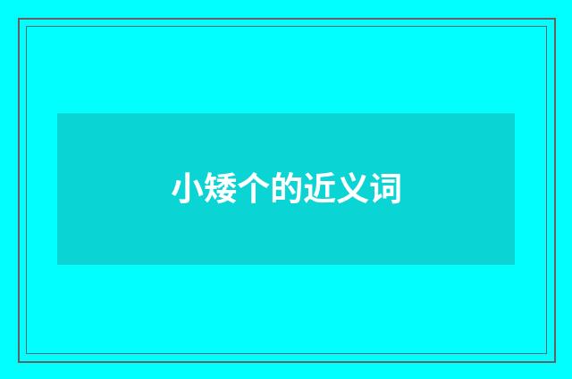 小矮个的近义词