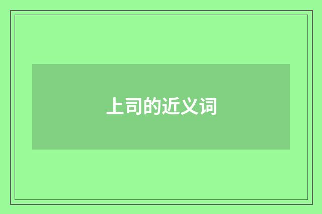 上司的近义词