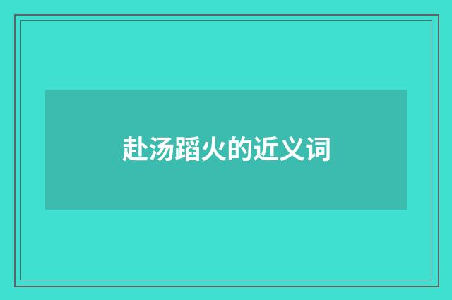 赴汤蹈火的近义词