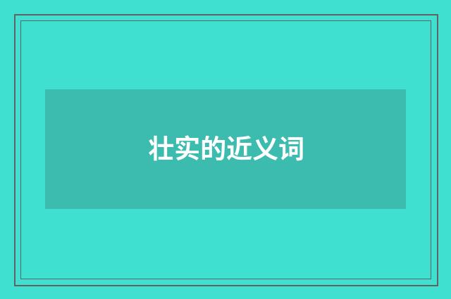 壮实的近义词