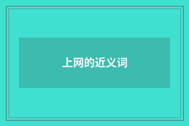 上网的近义词