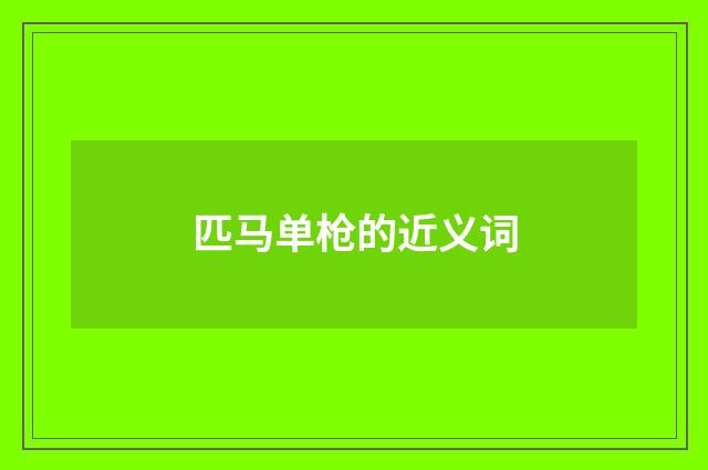 匹马单枪的近义词