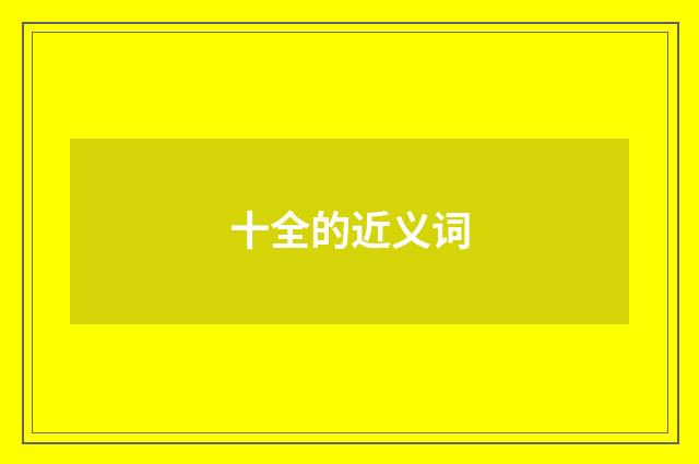 十全的近义词