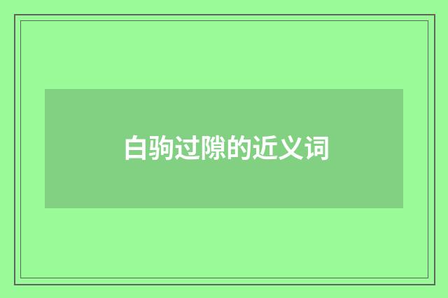 白驹过隙的近义词