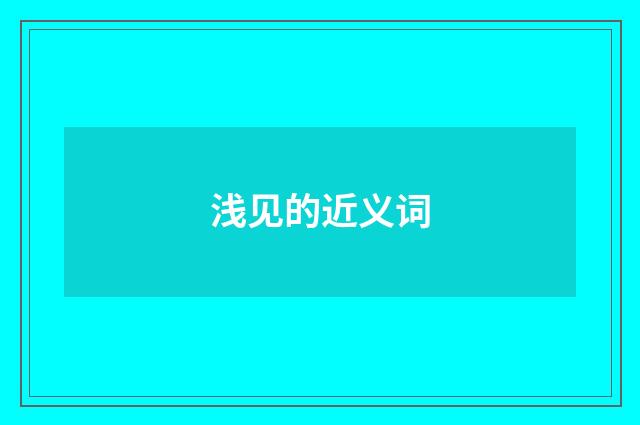 浅见的近义词