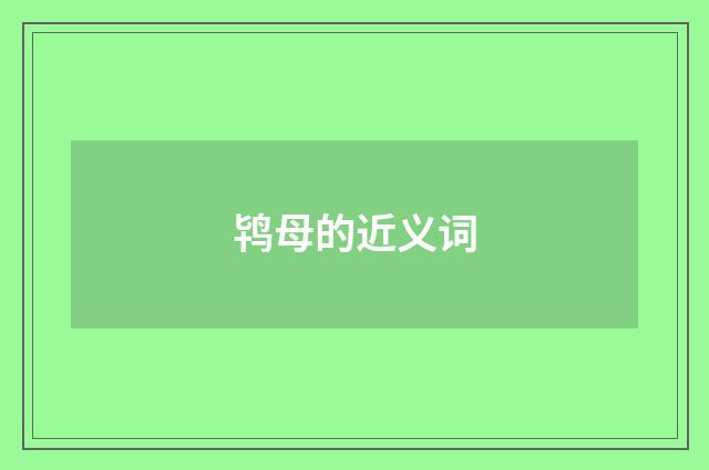 鸨母的近义词